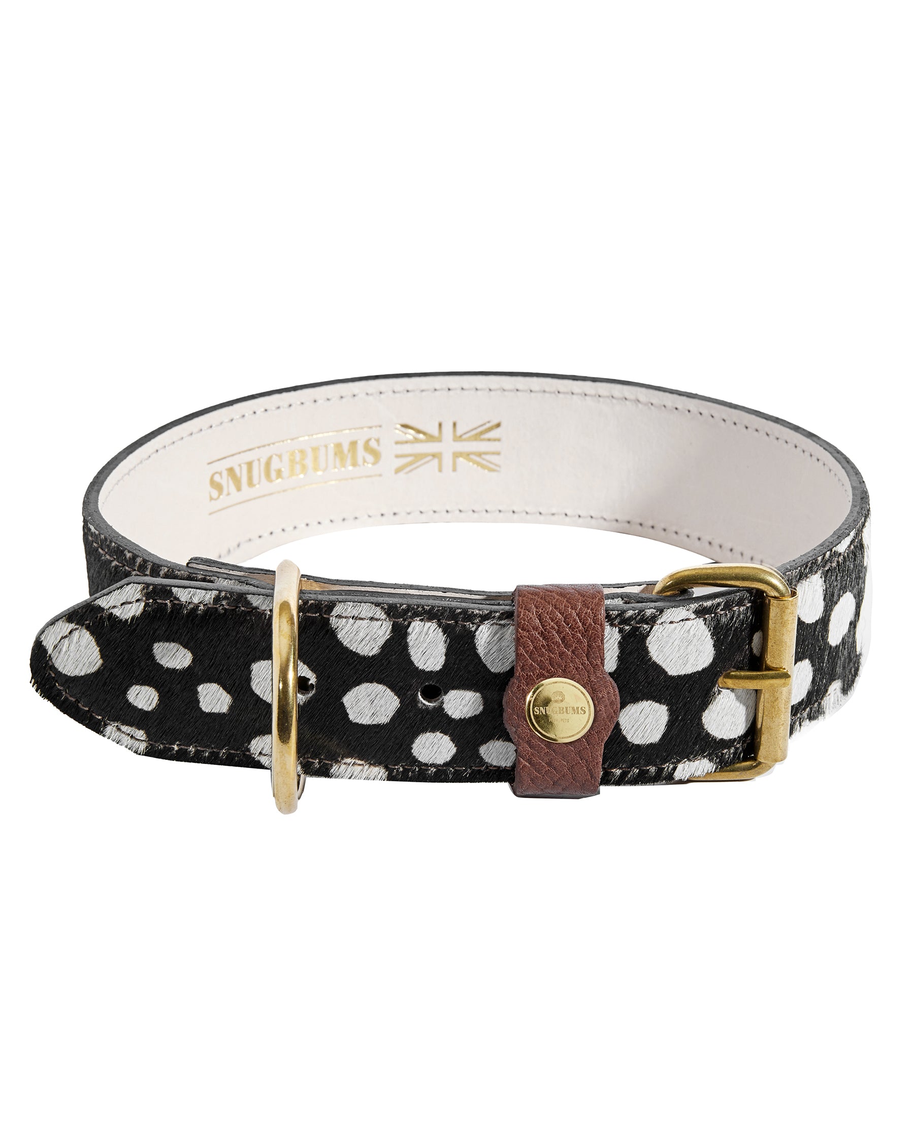 Black and white polka dot dog collar best sale